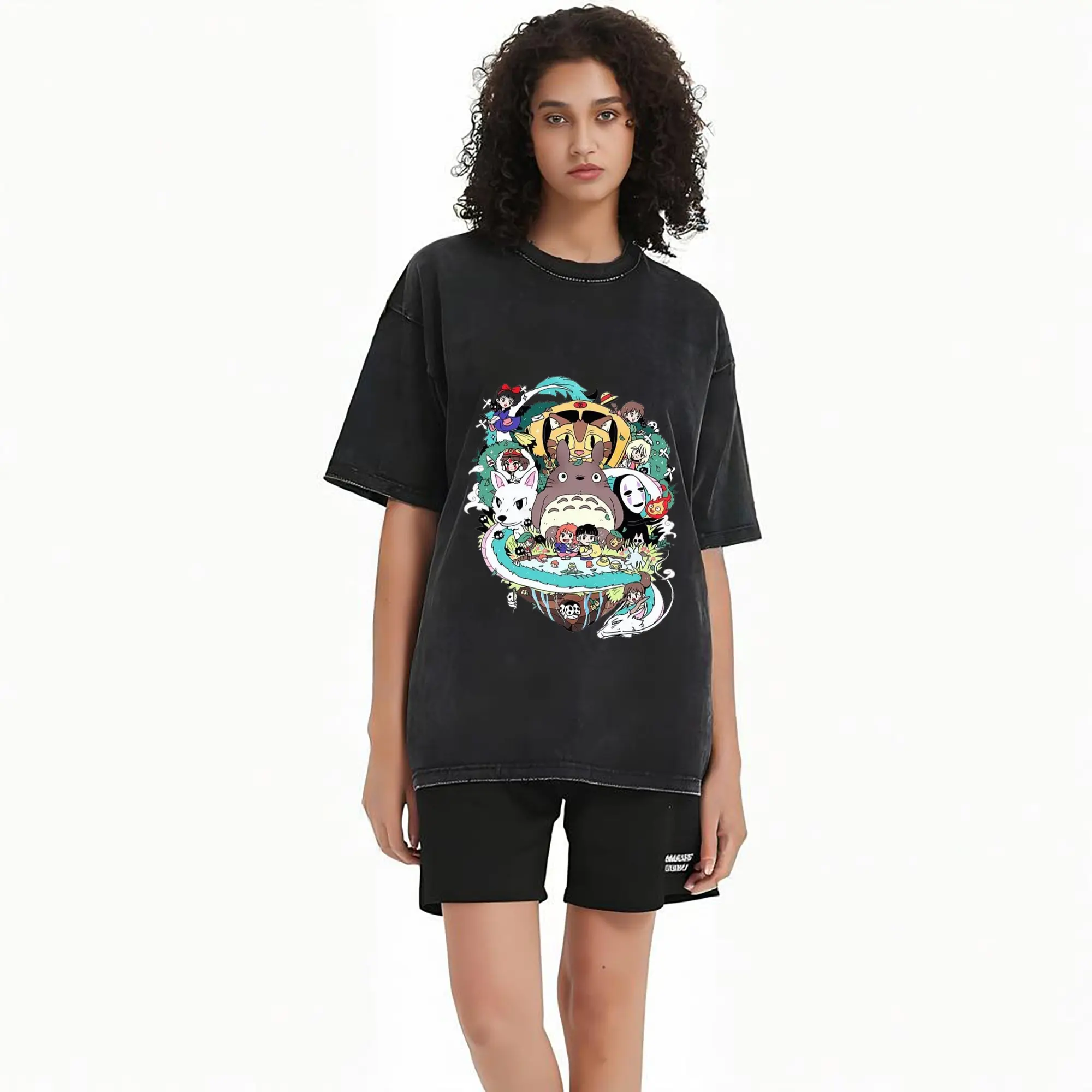 Studio Ghibli Classic Characters DIY